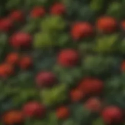 A vibrant representation of various plant taxa