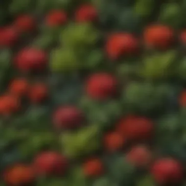 A vibrant representation of various plant taxa