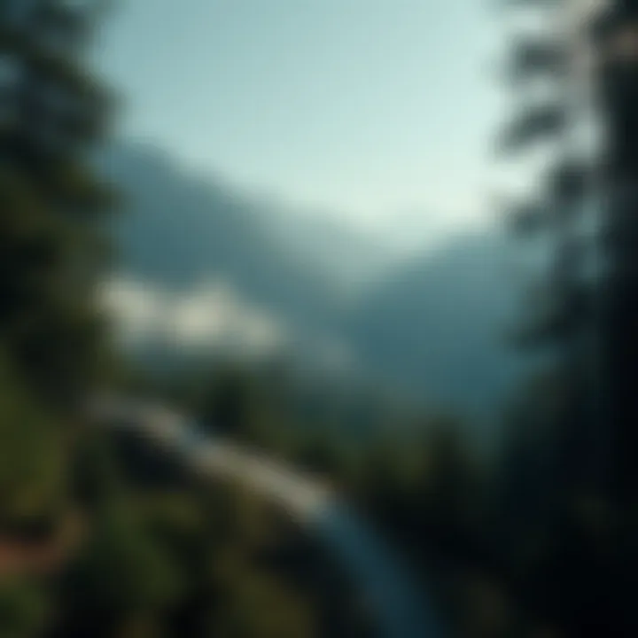 Economic Impacts of Carbon Sequestration Infographic highlighting long-term economic impacts of carbon sequestration