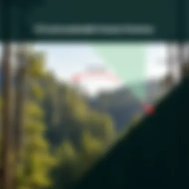 CCS and Sustainable Forestry Practices Diagram showing the relationship between CCS and sustainable forestry practices