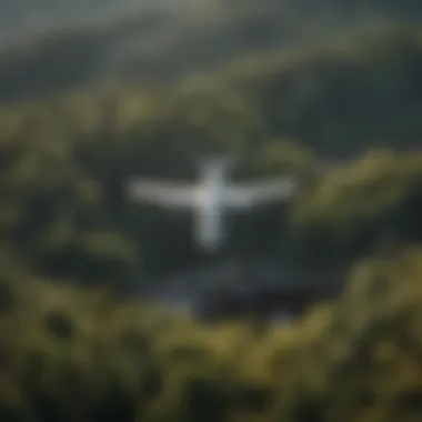 Aerial Wildlife Monitoring Wildlife being monitored from the air using advanced technology.