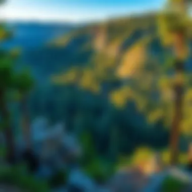 A panoramic view of Bear Valley Park showcasing diverse ecosystems