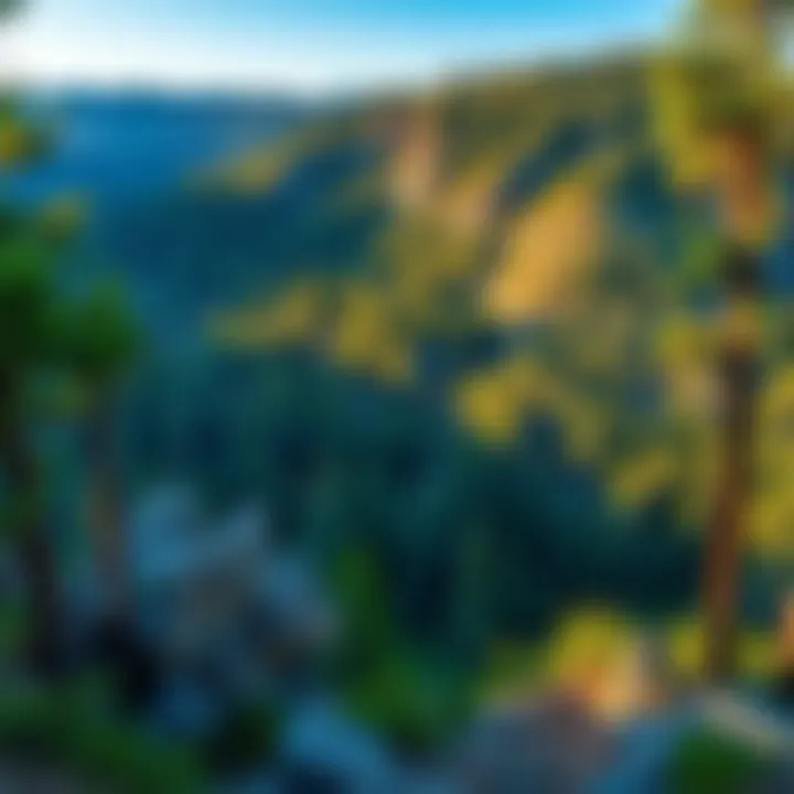 A panoramic view of Bear Valley Park showcasing diverse ecosystems