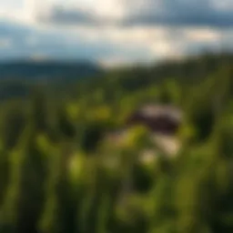 Scenic view of Bearskin Lodge surrounded by lush forests