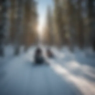 Group of snowmobilers enjoying a ride on a wide trail