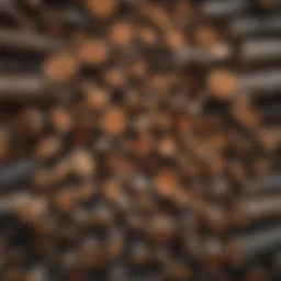 A close-up view of well-arranged firewood