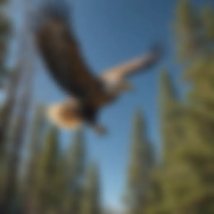 An eagle in flight against a clear blue sky, showcasing its powerful wingspan.