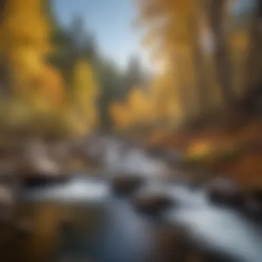 Seasonal transformation of Boulder Creek Trail during autumn