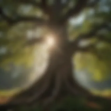 The Guardian of Time: An Ancient Tree An ancient tree representing ecological balance and history