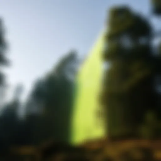 A visual representation of carbon sequestration technology