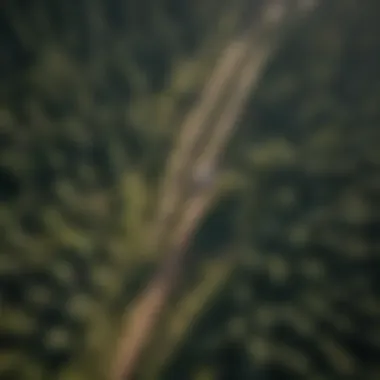 An aerial view of a sustainable forestry operation in action.