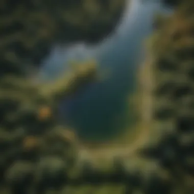 Aerial perspective illustrating the ecosystem diversity at Cedar Lake