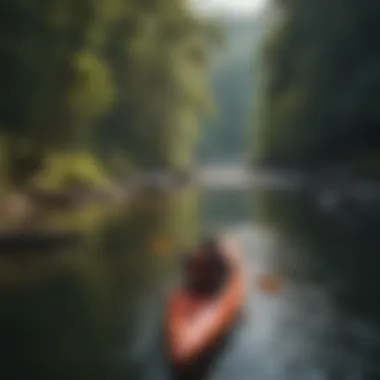 Kayaking Adventure on the Chattooga River Participants engaged in kayaking on the Chattooga River