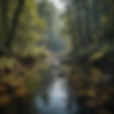 Wildlife of the Chattooga River Ecosystem Wildlife thriving in the natural habitat of the Chattooga River