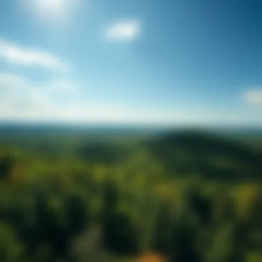 Majestic Overview of Chestnut Mountain A panoramic view of Chestnut Mountain showcasing its lush greenery and diverse landscapes