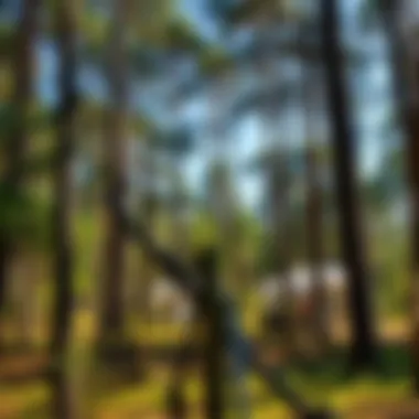 Ecological benefits of forestry trees in woodland ecosystems