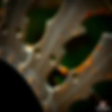 Woodchipper Blade Design Close-up view of woodchipper blades highlighting their sharpness and design.