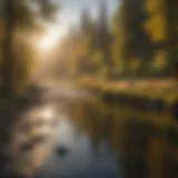 Tranquil scene of Boise River at sunrise