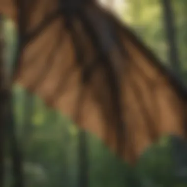 Wing Structure and Adaptations of Indiana Bat Illustration of the Indiana bat's wing structure demonstrating its unique adaptations.