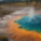 A panoramic view of Yellowstone's geothermal features showcasing vibrant colors and unique landforms.