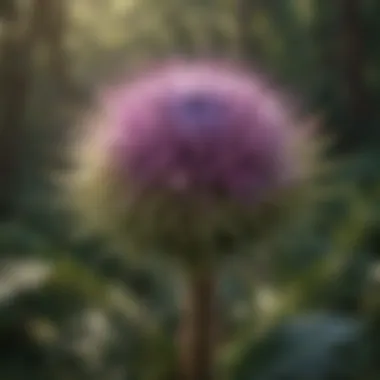 Impact of Canada Thistle on Biodiversity Biodiversity affected by invasive species