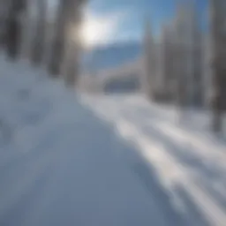 A panoramic view of the snow-covered slopes at Cooper Mountain