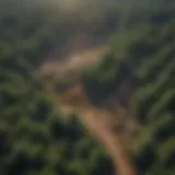 Aerial view of a cleared forest area showcasing the land transformation.