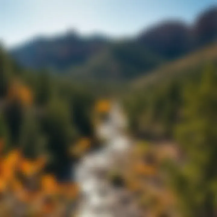 Nature and Culture: The Scenic Harmony of Cove Creek A picturesque landscape of Cove Creek illustrating the harmony between nature and culture