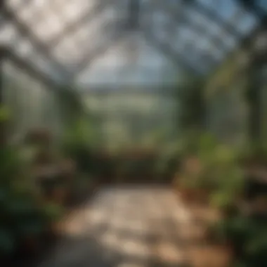 Innovative Greenhouse Layout Innovative greenhouse layout showcasing optimal plant arrangement