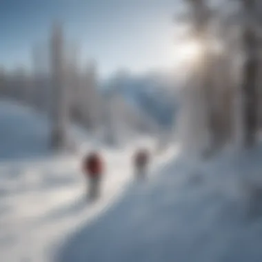 Group of skiers enjoying a beautiful winter landscape