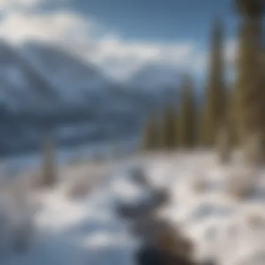 Scenic vista of snow-covered mountains ideal for cross country skiing