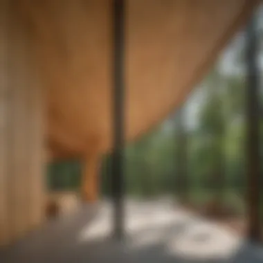 A beautifully designed Cross Laminated Timber structure showcasing modern architecture.