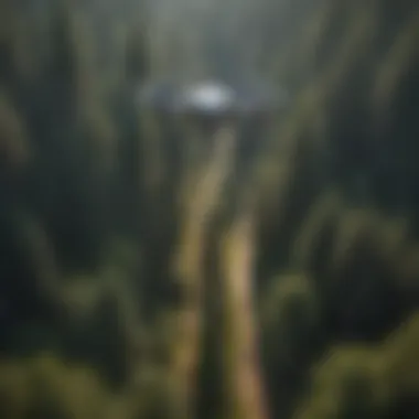 Aerial view of a forest with drones flying above