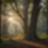 A serene landscape showcasing trees native to the Eastern Shore