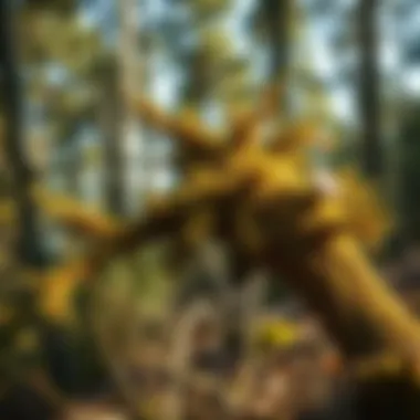 Ecological benefits of decoration trees in forest ecosystems