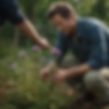 A garden scene with a gardener removing thistles manually, showing proper techniques.