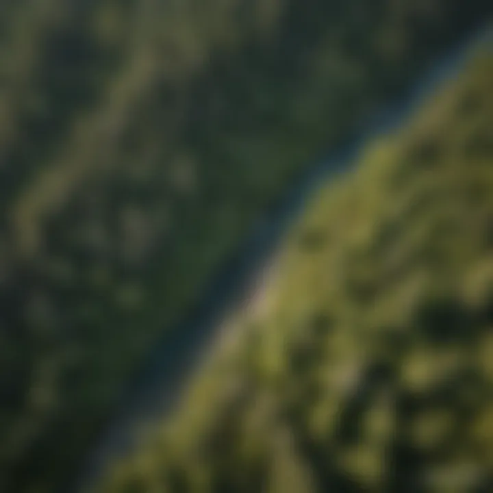 An aerial view of the Elk River landscape with diverse flora