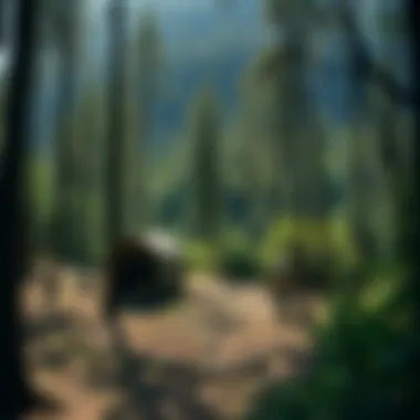 Impact of Displacement Illustration depicting the emotional toll of displacement