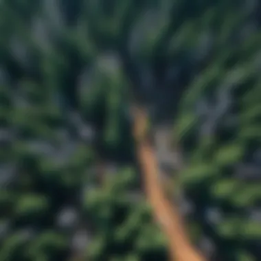 Aerial view showcasing a forest with dead trees standing out