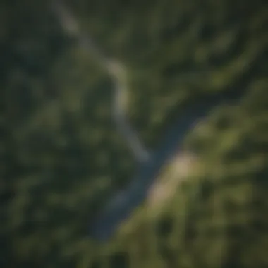 Aerial view of a mosaic of forests and rocky outcrops