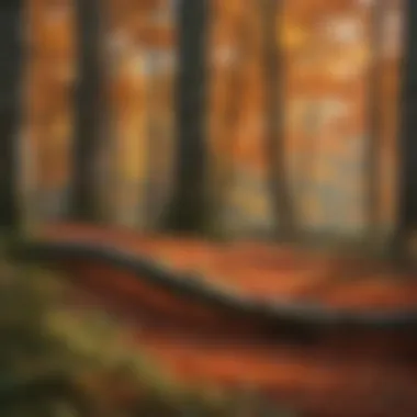 An ecological scene depicting a woodland ecosystem with trees displaying colorful leaves, emphasizing biodiversity.