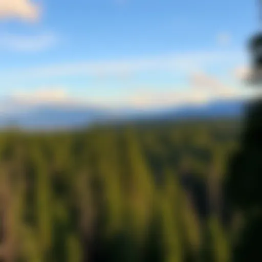 Expansive view of affordable land in the Pacific Northwest