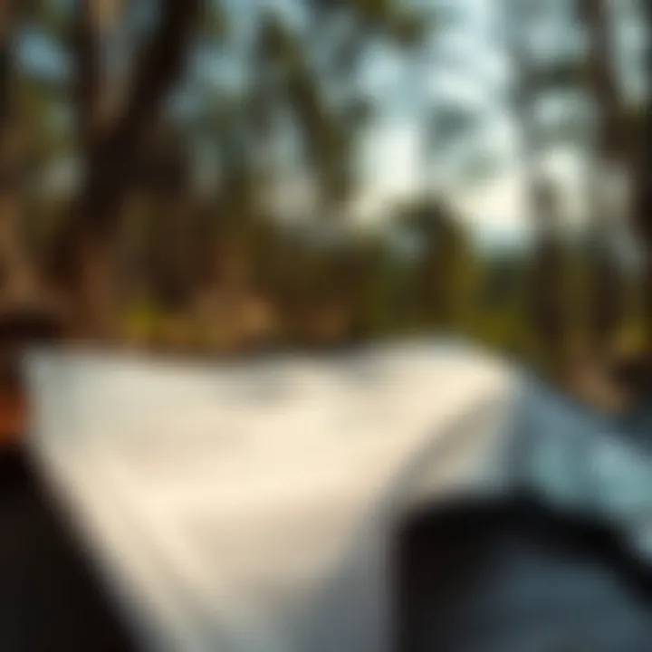 Legal documents representing land ownership considerations