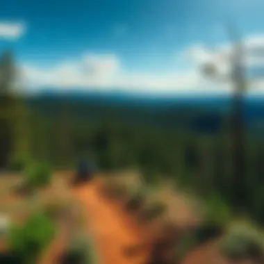 A panoramic landscape showcasing the Buckhorn trail system and surrounding nature