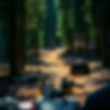 A serene view of Buckhorn ATV trails weaving through a lush forest