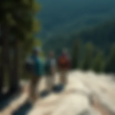 A group of hikers enjoying a scenic overlook within the national forest