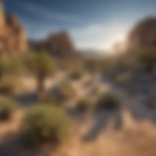 Stunning desert landscape showcasing the unique rock formations of Joshua Tree National Park