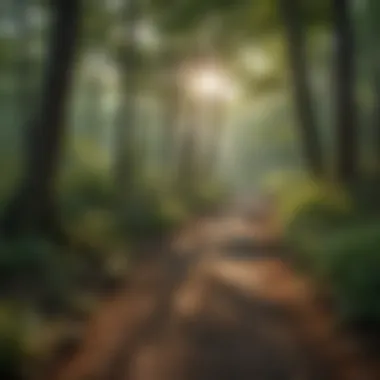 Nature Trails Near Cherokee RV Parks Nature trails available for hiking near Cherokee RV parks