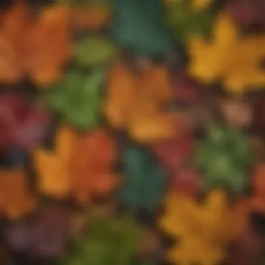 Close-up of unique leaf textures and colors in different species