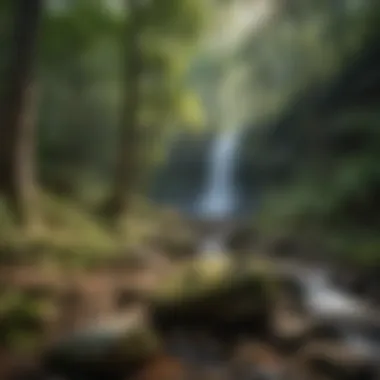 Visitors enjoying a scenic hike along the trails of Crabtree Falls